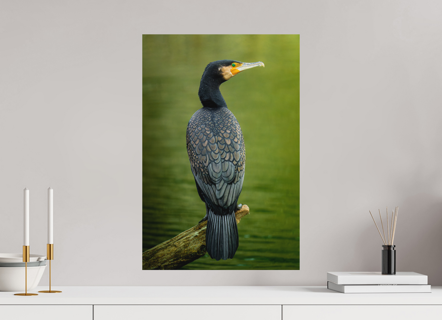 Plumage d'Ardoise