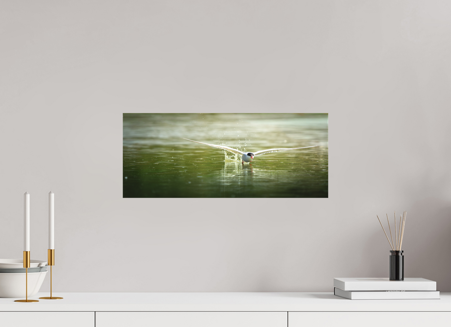 Sterne Pierregarin | chasse en surface