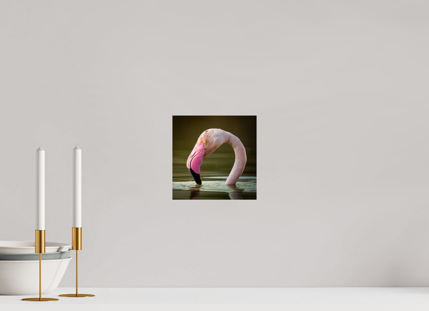 Flamant Rose | le flamant d'eau