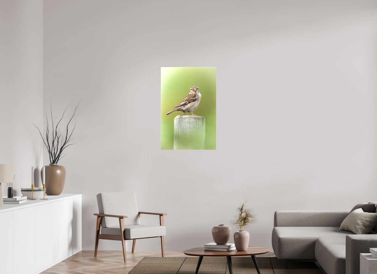 Moineau domestique | un regard mignon