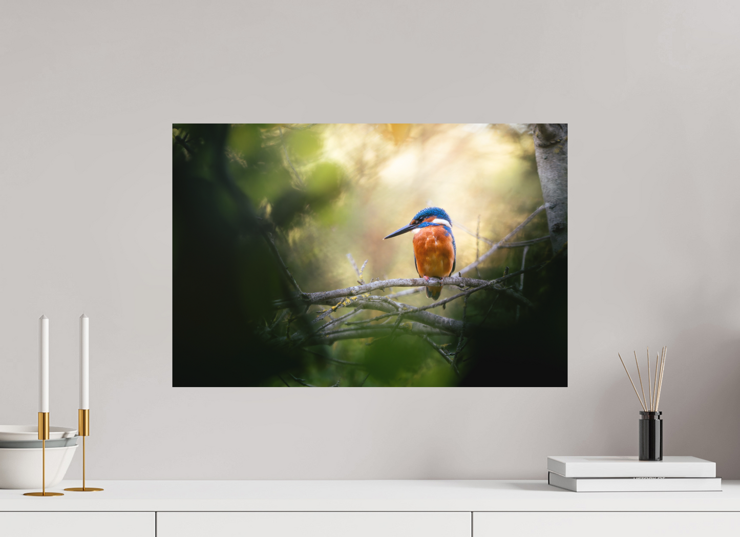 60 x 40 cm, Alu Dibond Intimité Sauvage