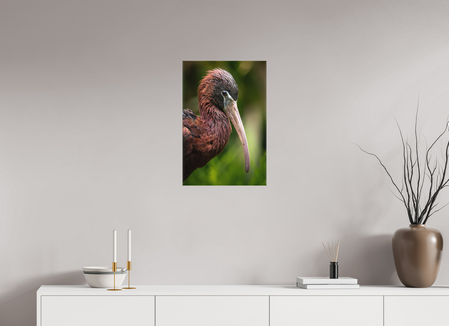 Ibis Falcinelle | un long bec courbé