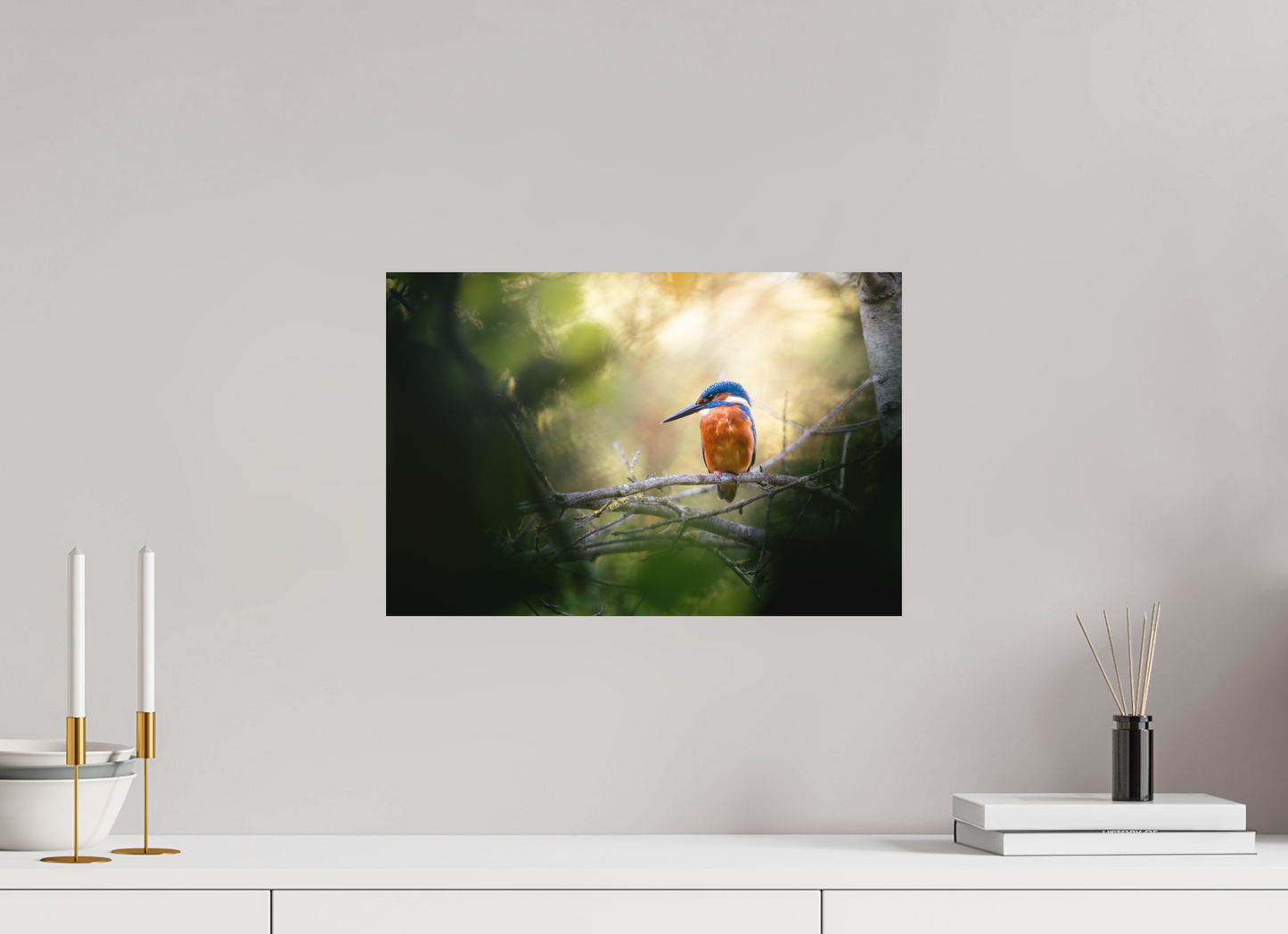 45 x 30 cm, Alu Dibond Intimité Sauvage