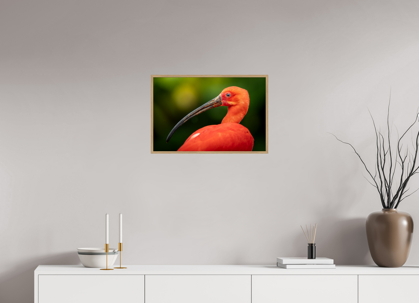 Ibis Rouge | un rouge écarlate