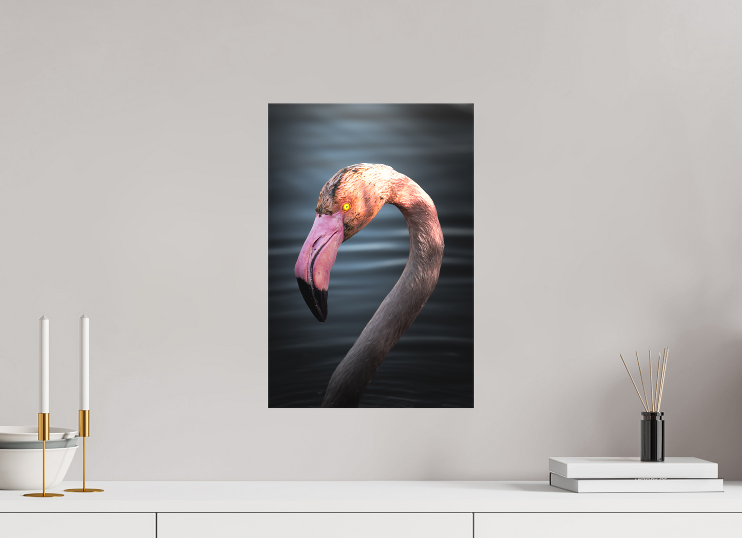 Flamant Rose | un regard menaçant