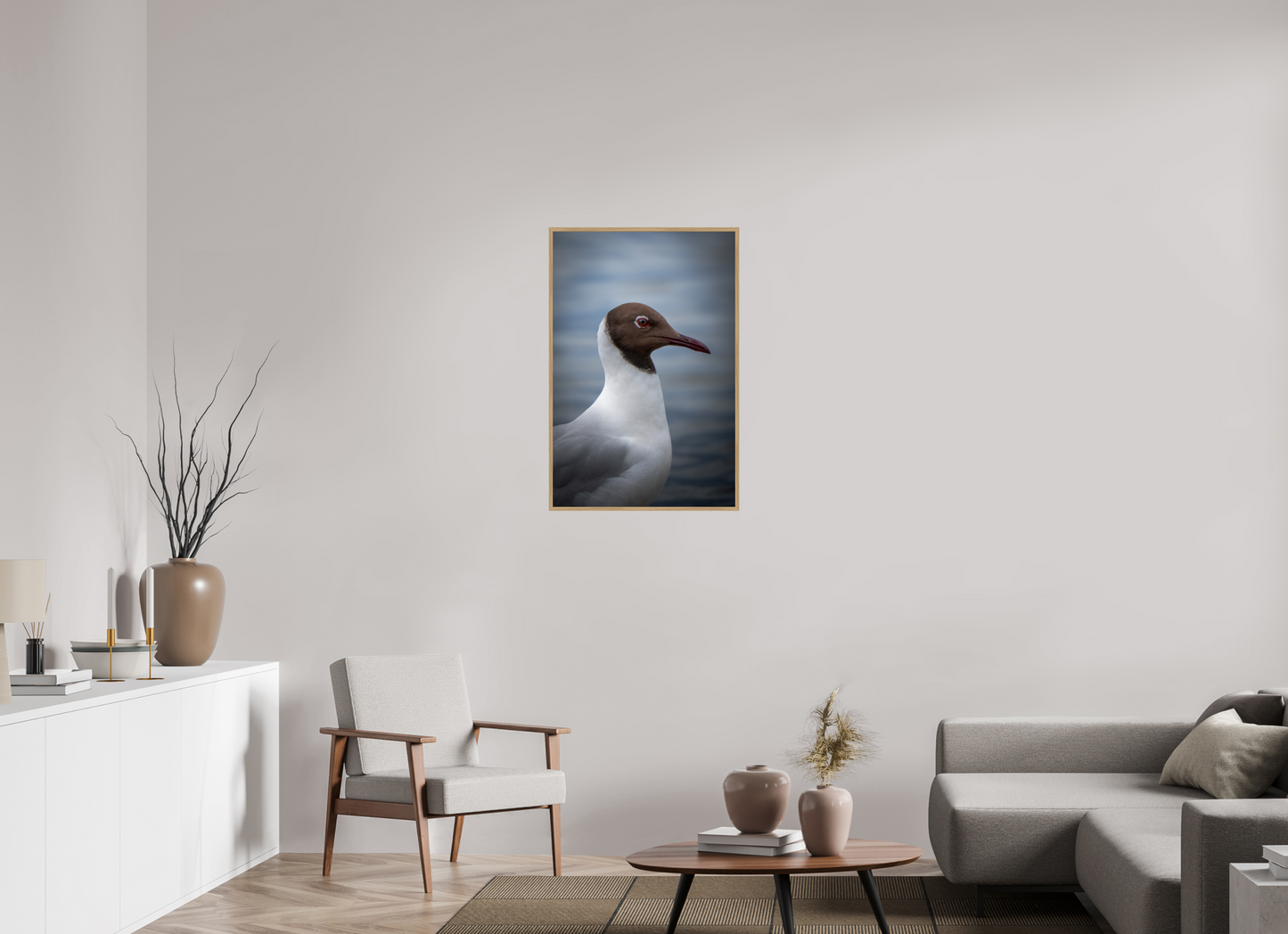Mouette rieuse | le casque brun