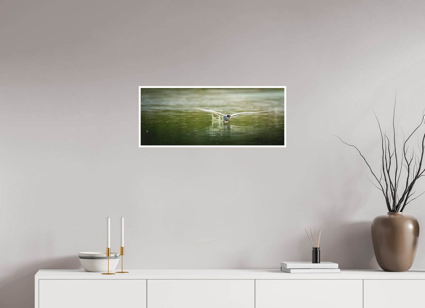Sterne Pierregarin | chasse en surface