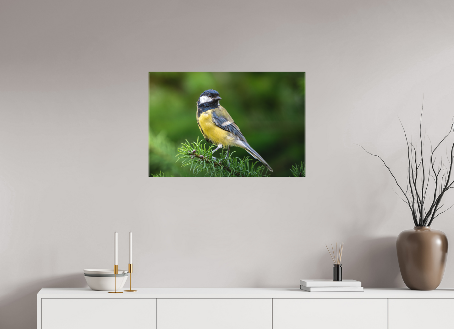 Mésange Charbonnière | la reine des mésanges