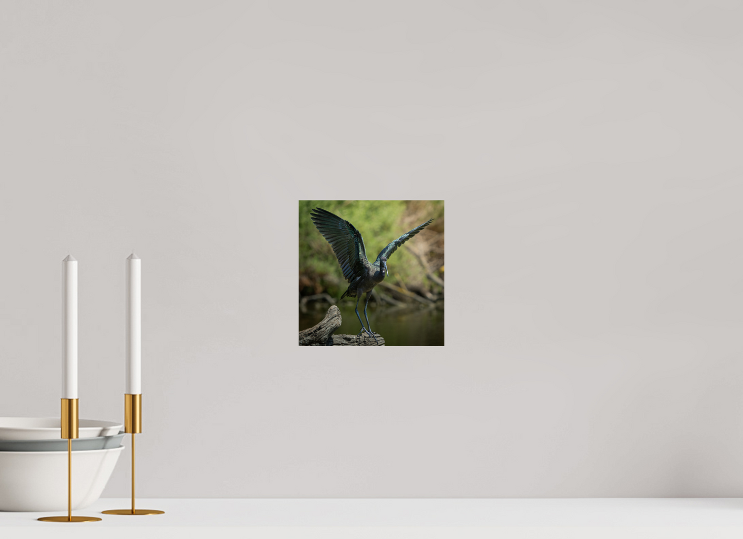 Ibis Falcinelle | cuivre absolu
