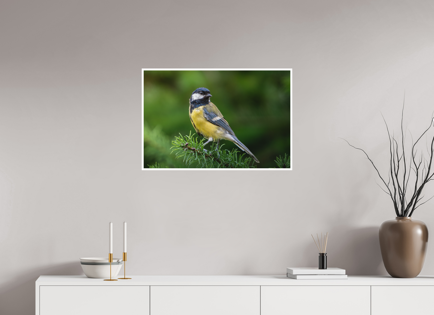 Mésange Charbonnière | la reine des mésanges