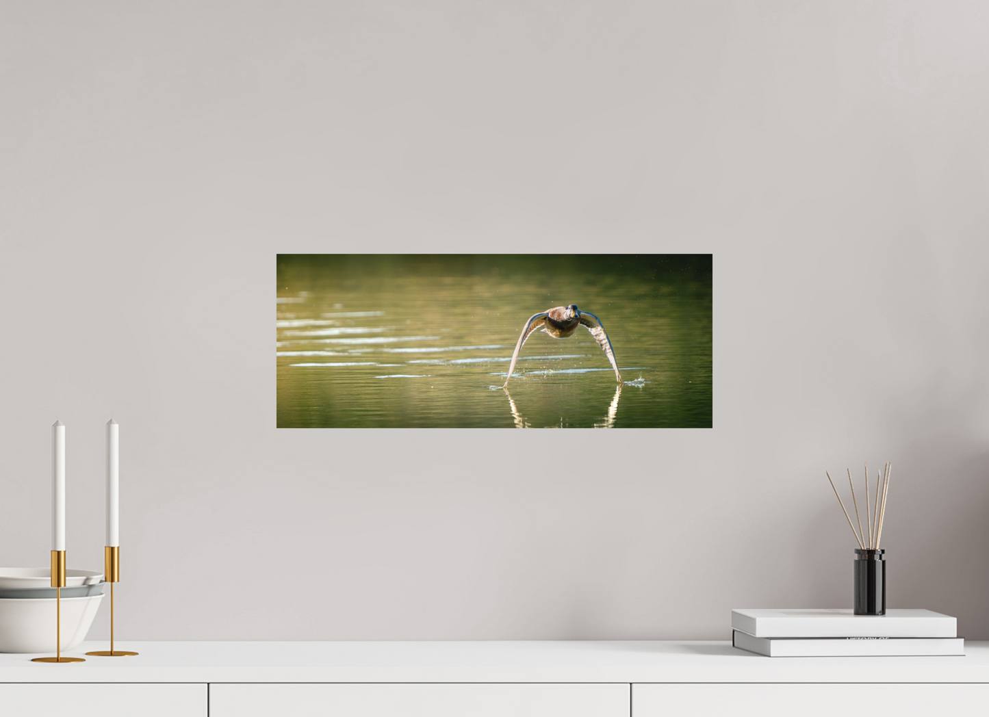canard Colvert | tel un catamaran