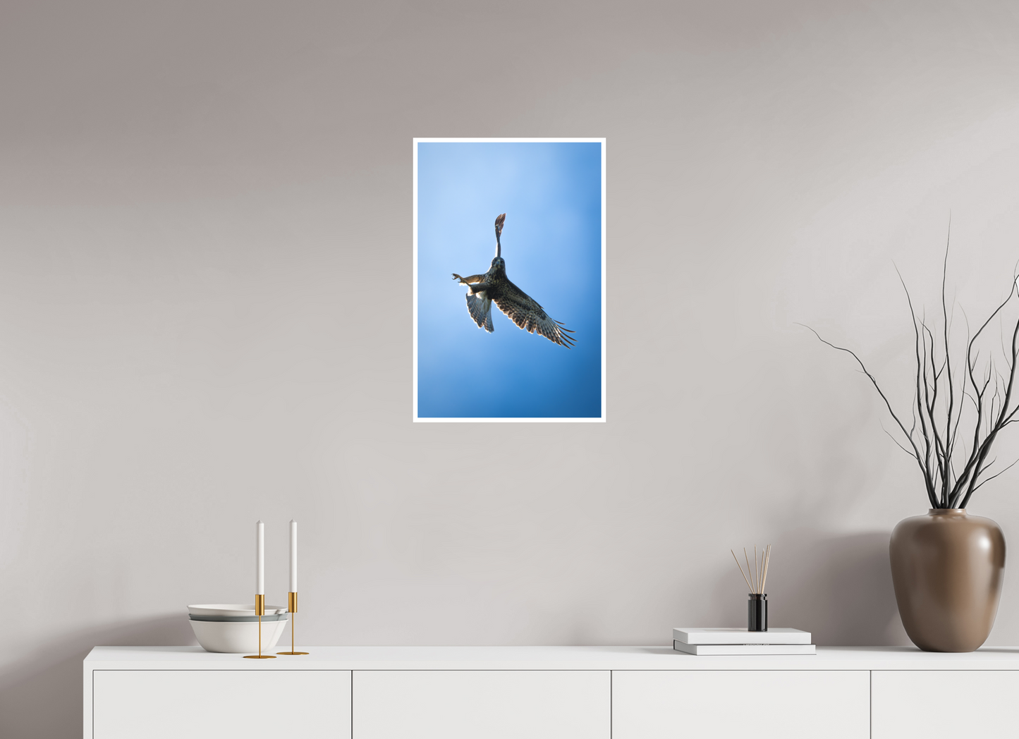 Buse variable | l’œil du ciel