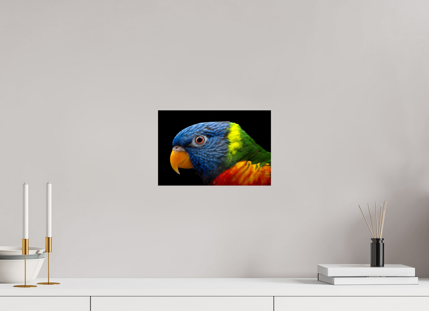 Loriquet arc-en-ciel | l'oiseau multicolore