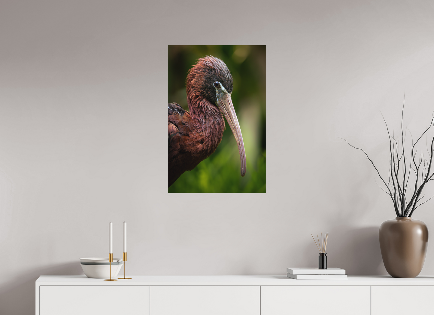 Ibis Falcinelle | un long bec courbé
