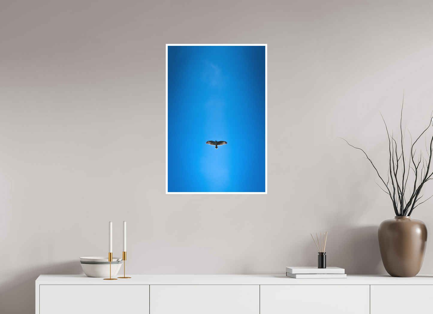 Buse variable | solitude aérienne