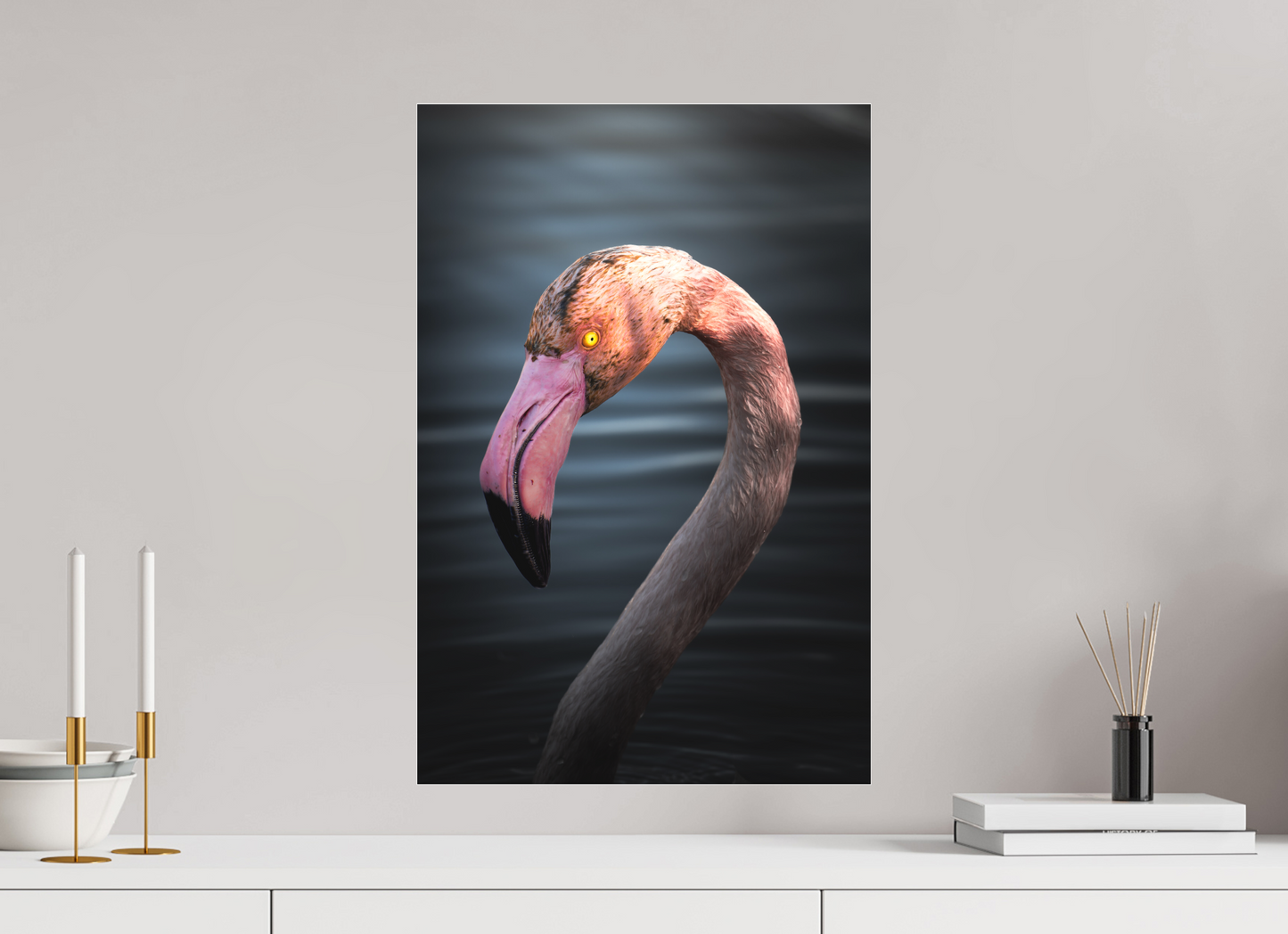 Flamant Rose | un regard menaçant