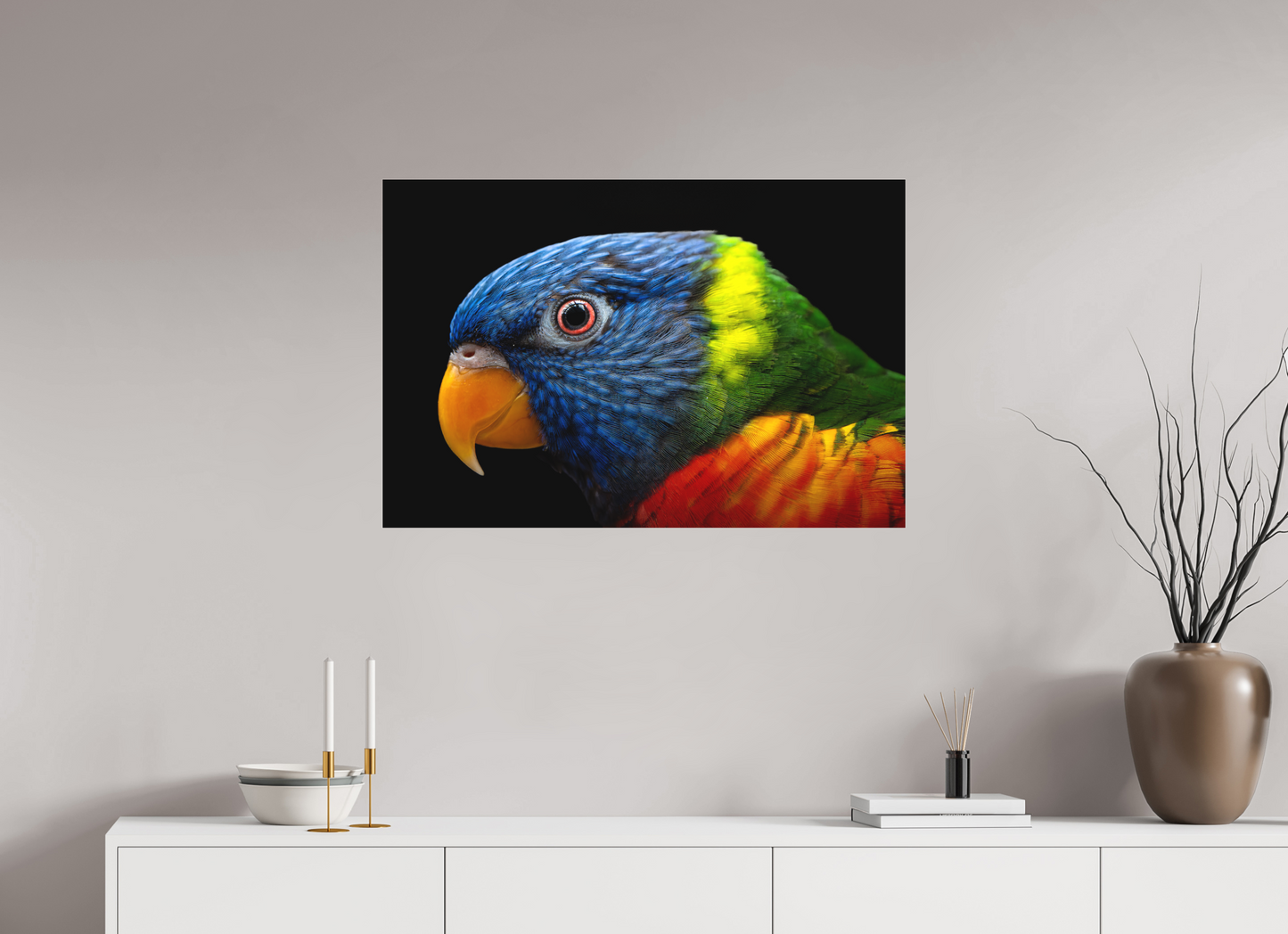 Loriquet arc-en-ciel | l'oiseau multicolore