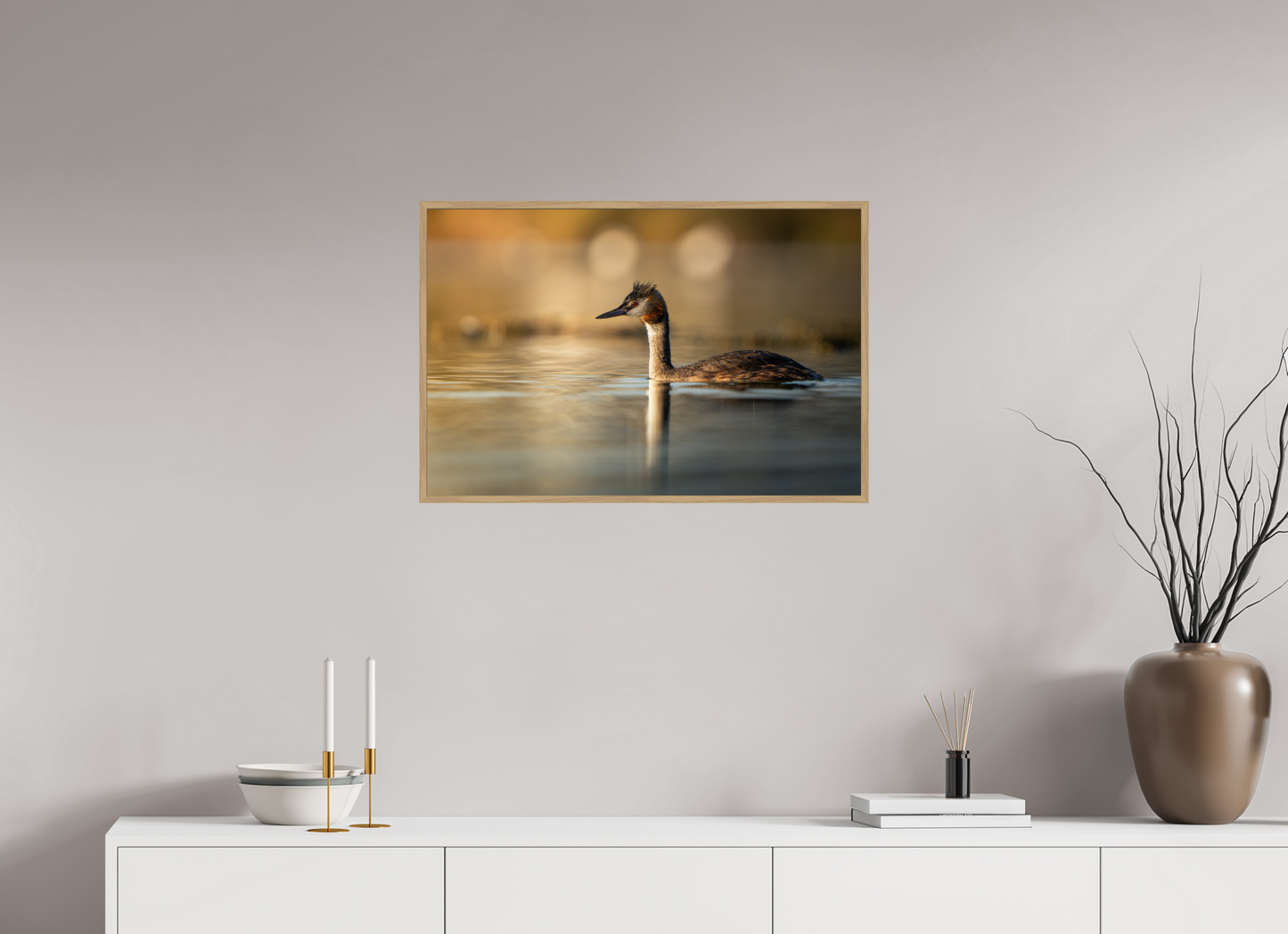 Grèbe Huppé | reflet de l’aube
