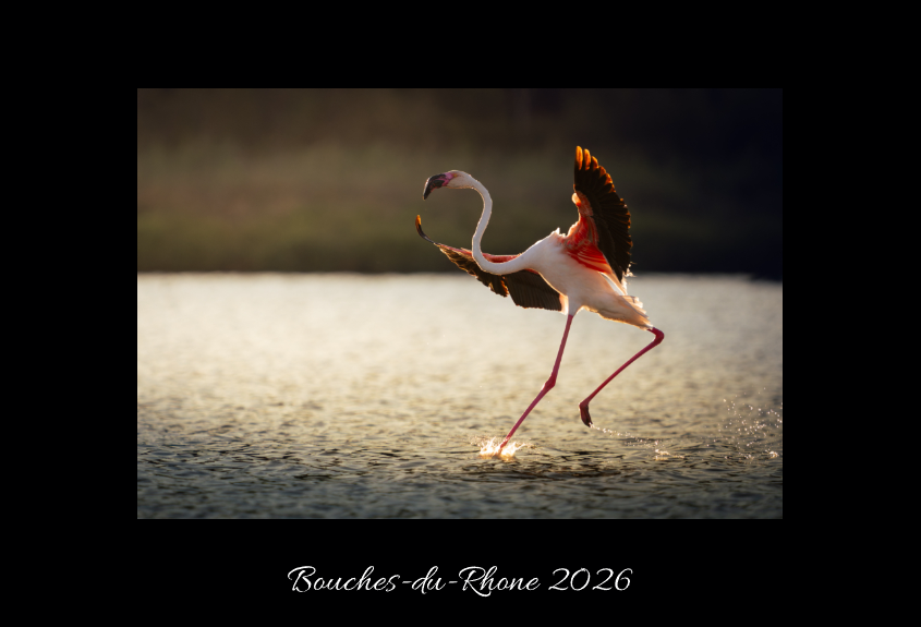 Calendrier photo édition Bouches-du-Rhône 2026