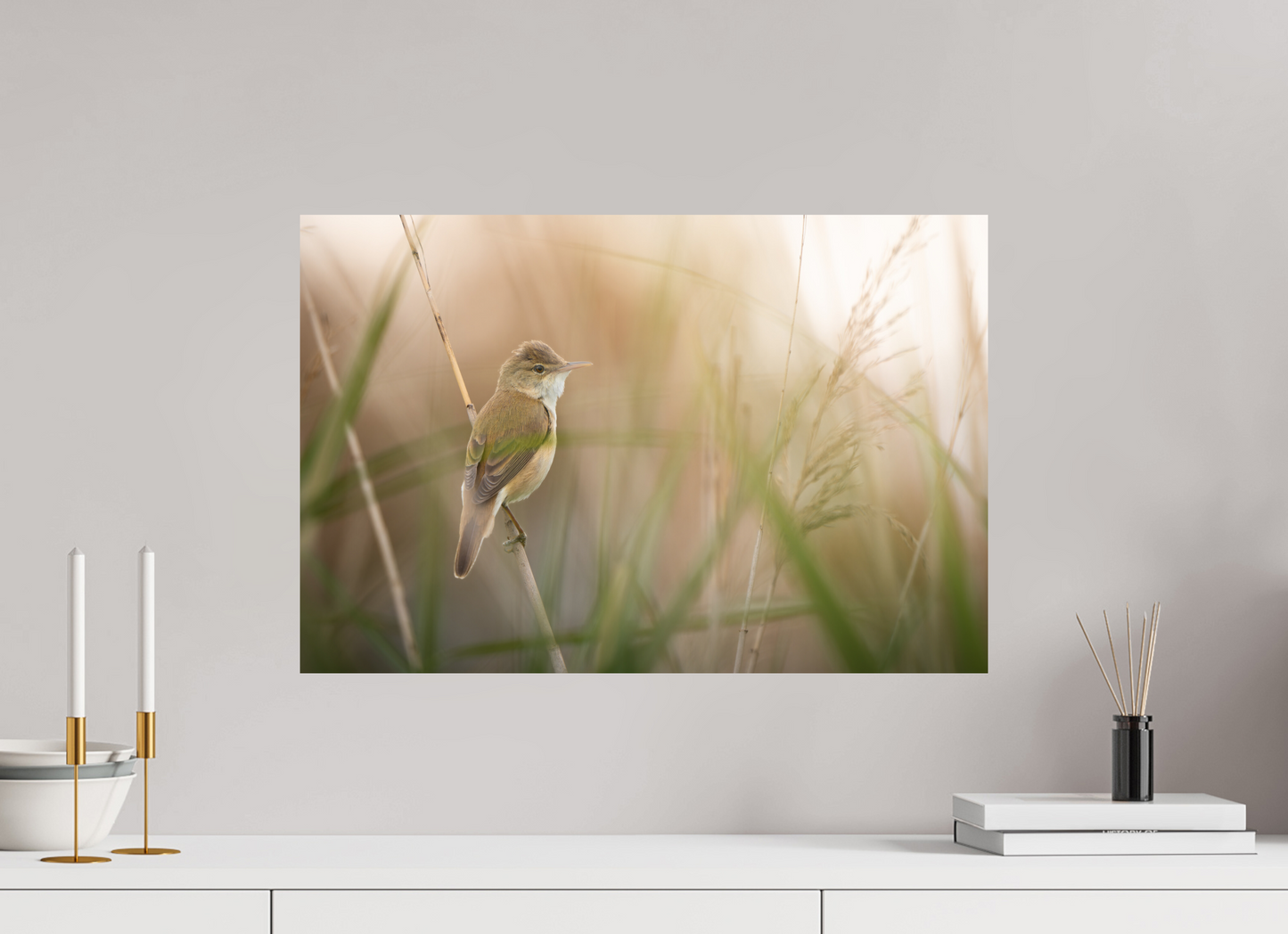 60 x 40 cm, Alu Dibond Murmure des Marais