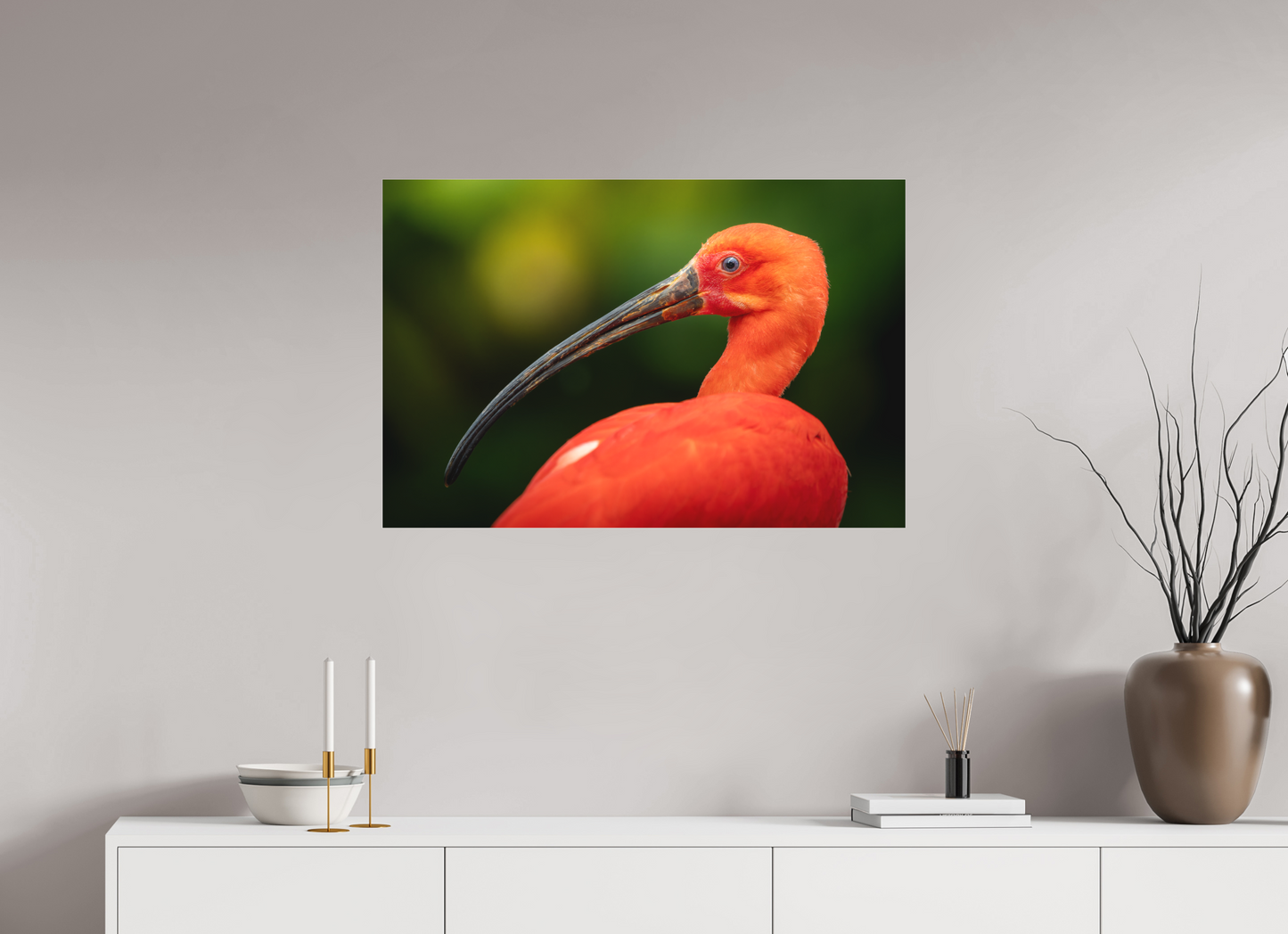 Ibis Rouge | un rouge écarlate
