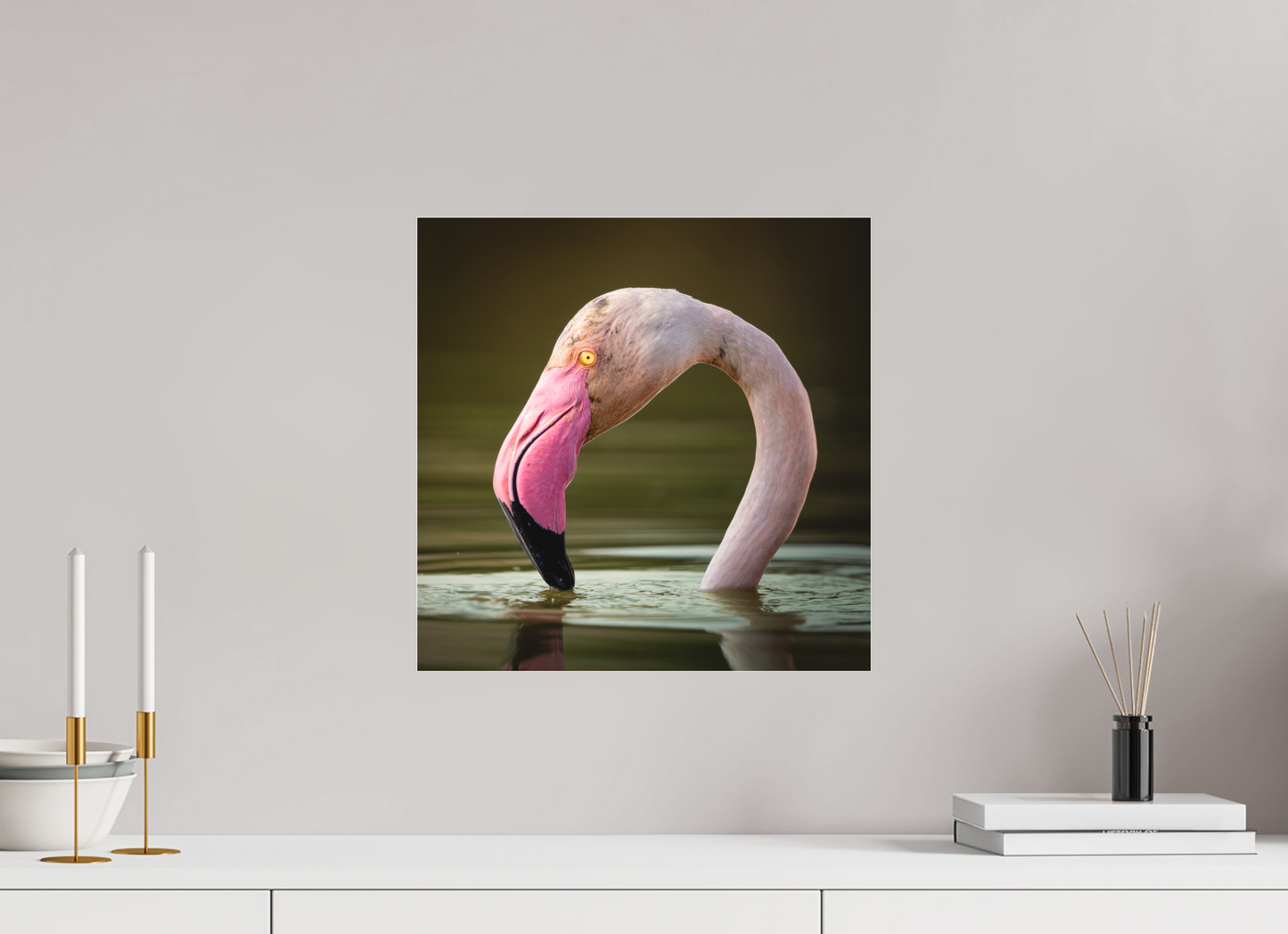 Flamant Rose | le flamant d'eau