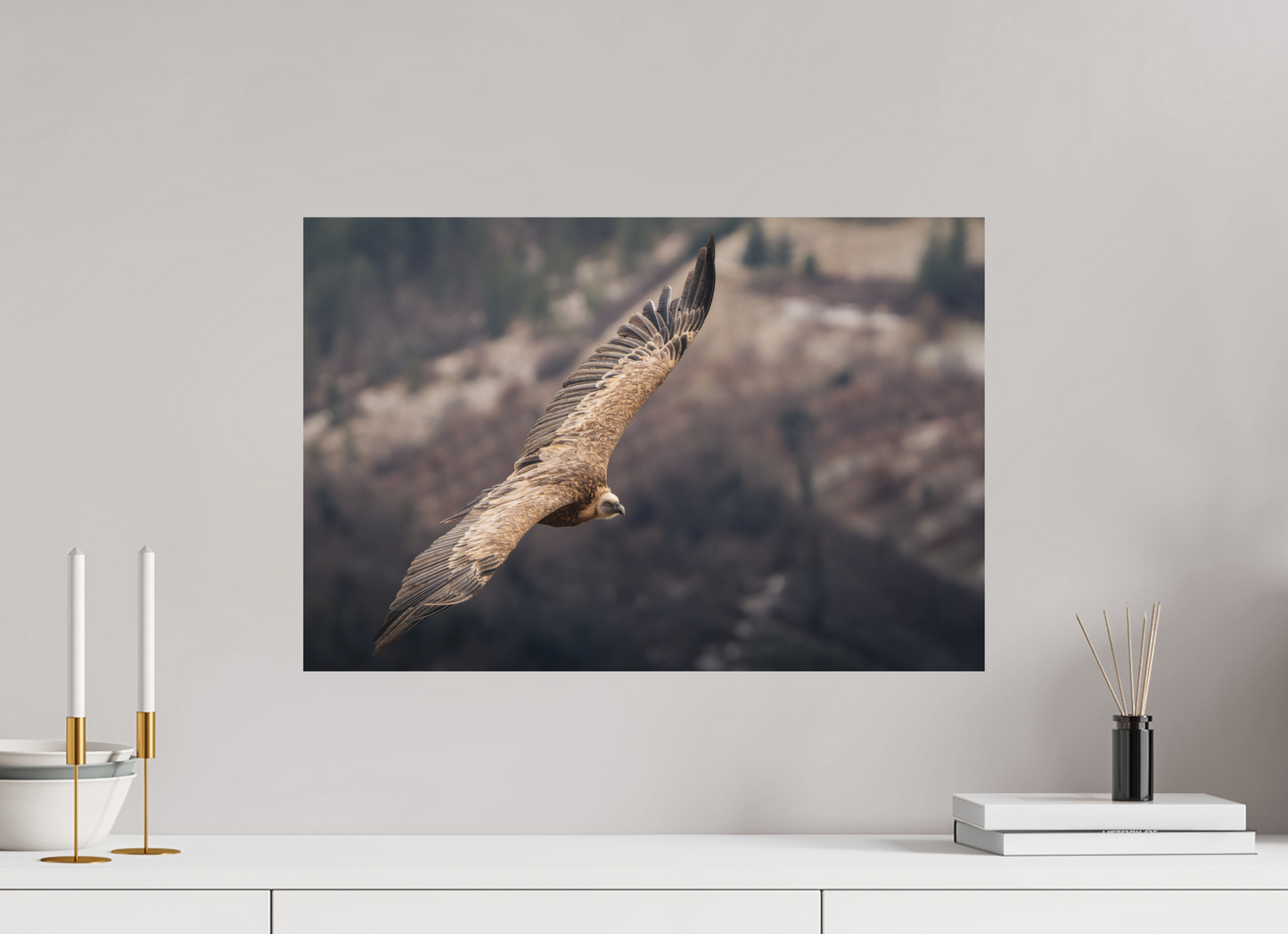 60 x 40 cm, Forex Gigantisme Royale