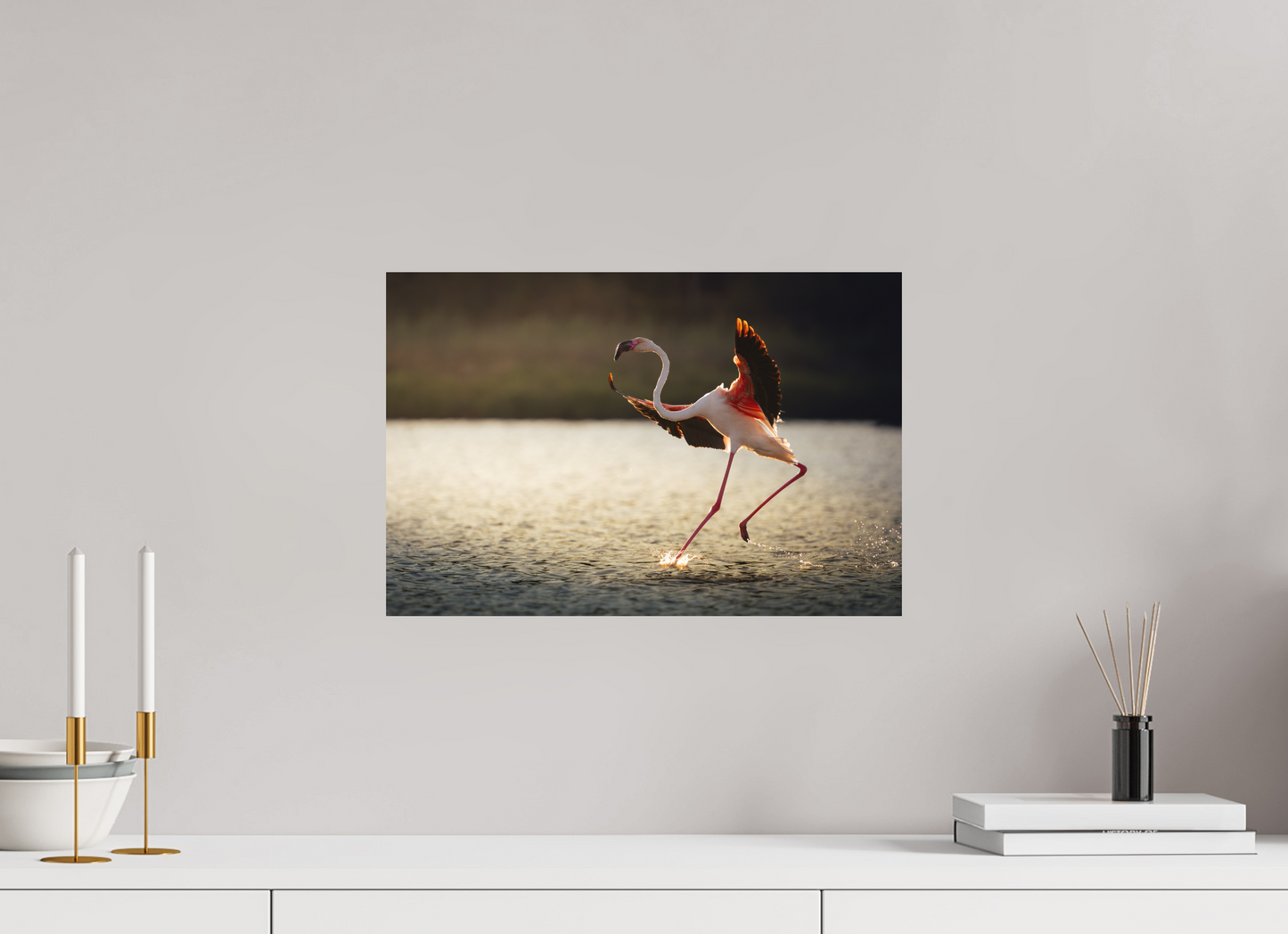 Flamant Rose | le symbole de la camargue