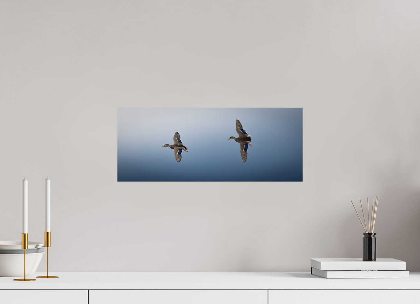 canard Colvert | vol parallèle