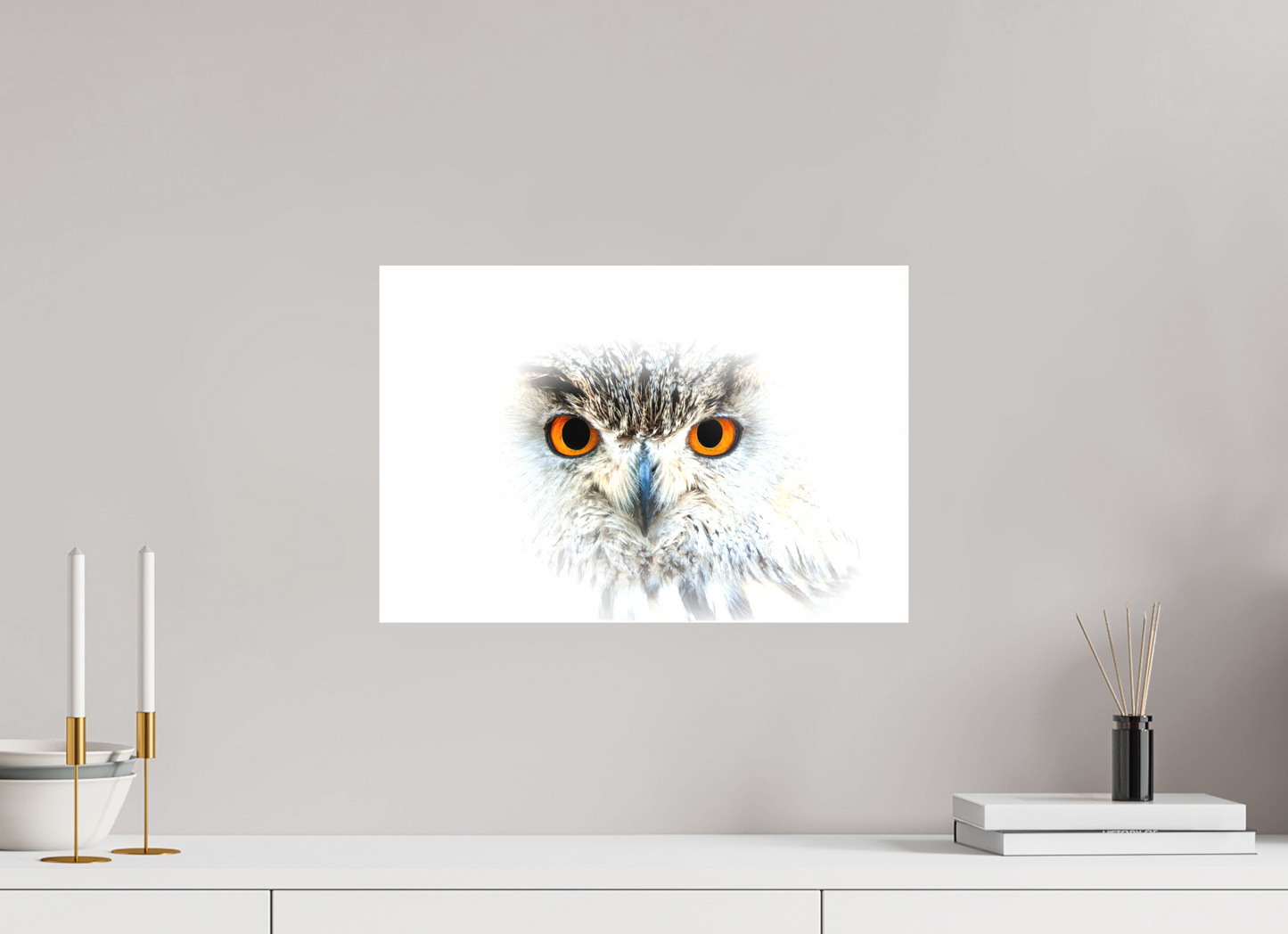 Hibou Grand-duc de Sibérie | les yeux du blizzard