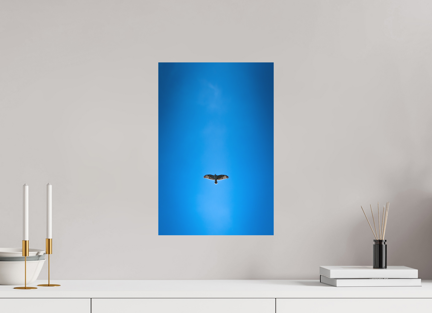 Buse variable | solitude aérienne