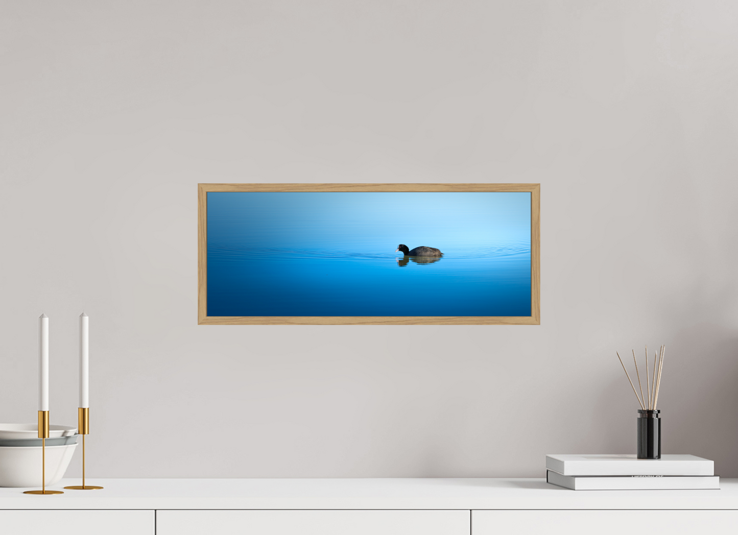 Foulque macroule | le mirroir liquide