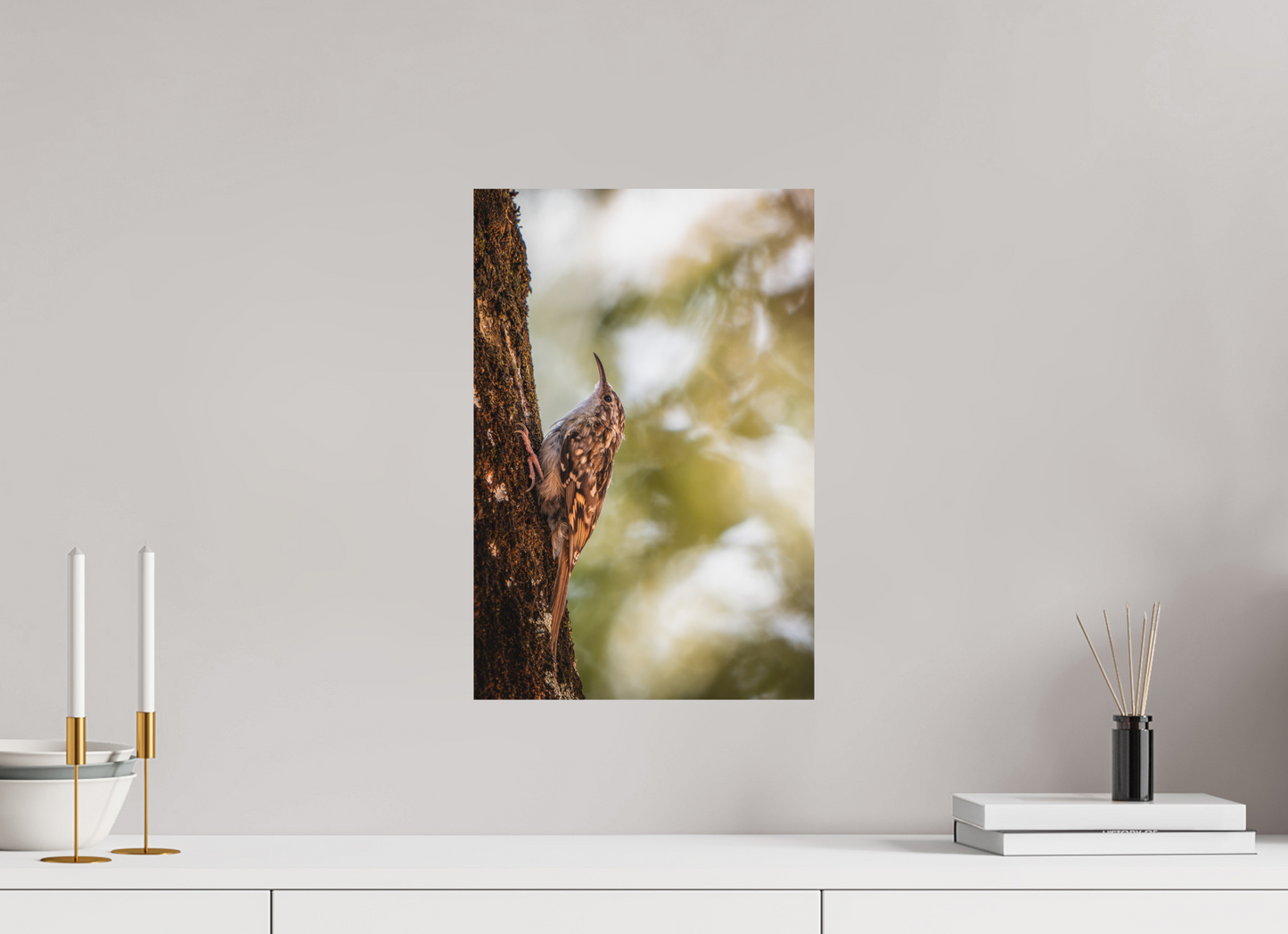 30 x 45 cm, Forex Ascension Sylvestre