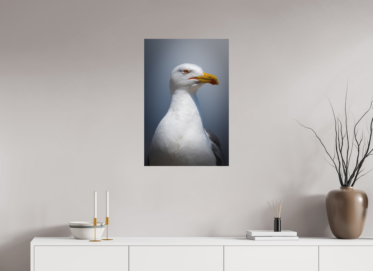 Goéland Leucophée | un portrait marin