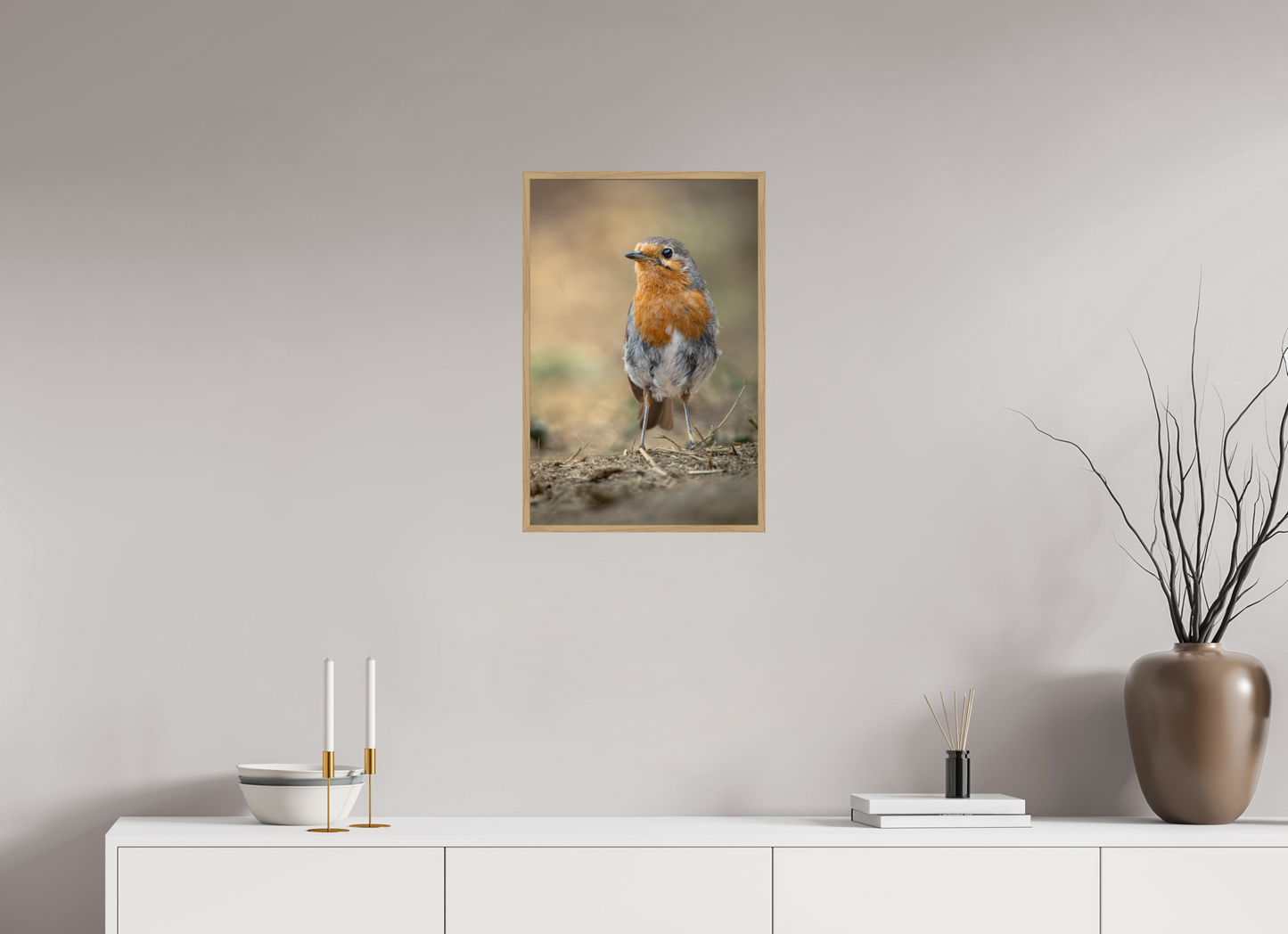 Rouge-gorge familier | le curieux du matin