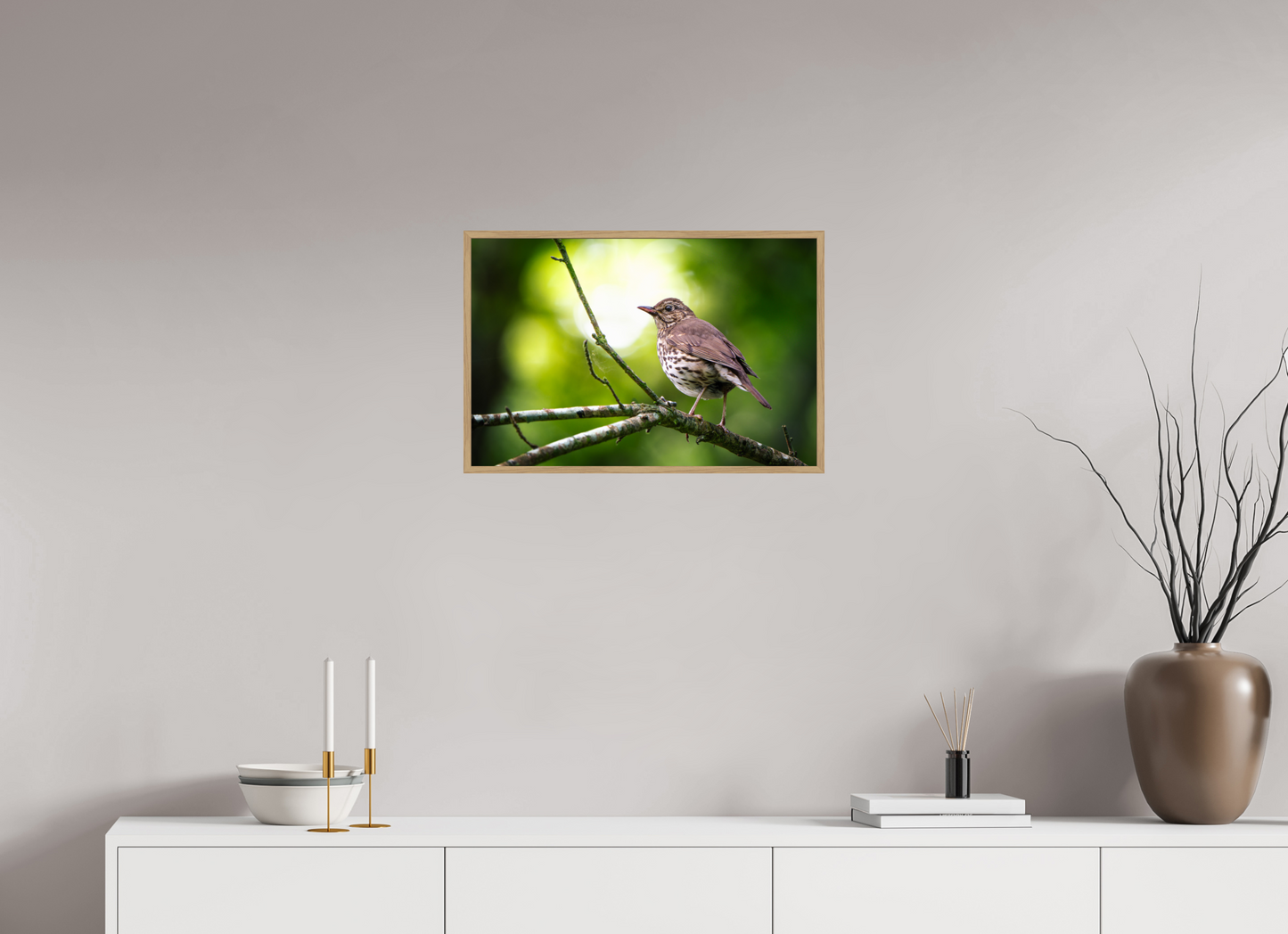 Grive musicienne | l'oiseau des sous-bois
