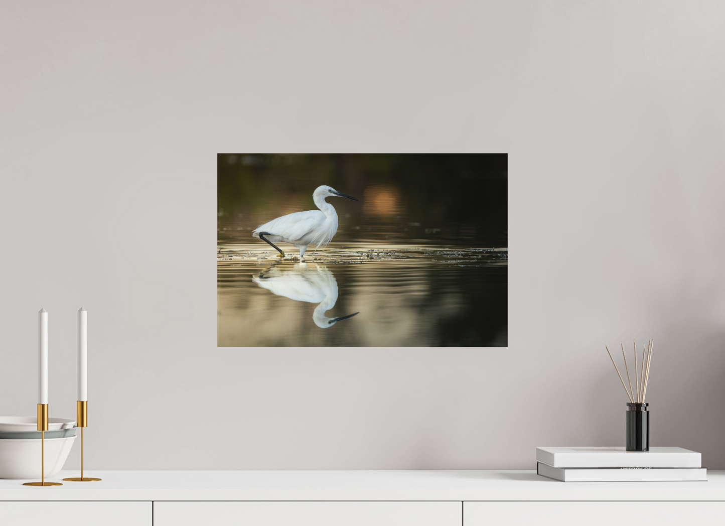 Aigrette Garzette | un reflet parfait
