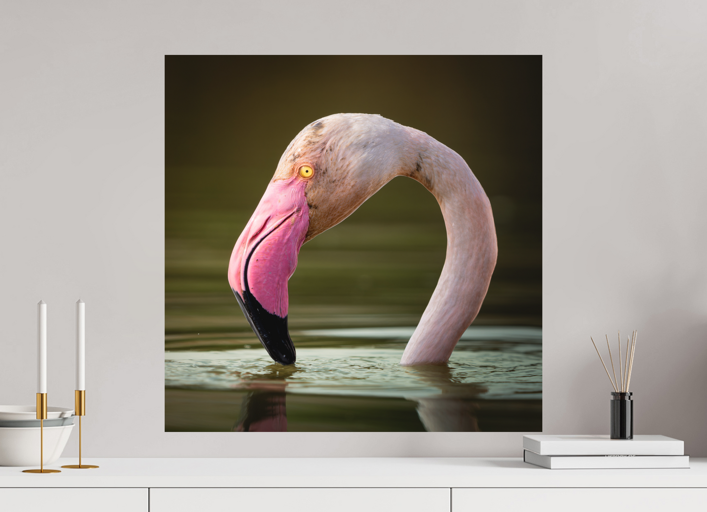 Flamant Rose | le flamant d'eau