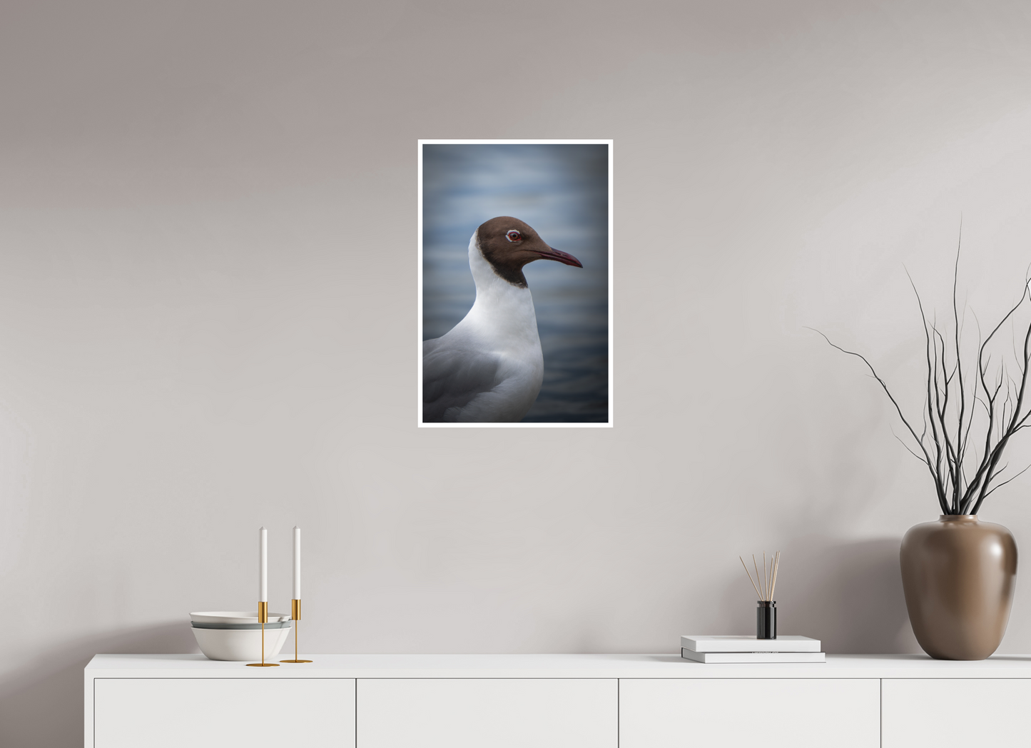 Mouette rieuse | le casque brun