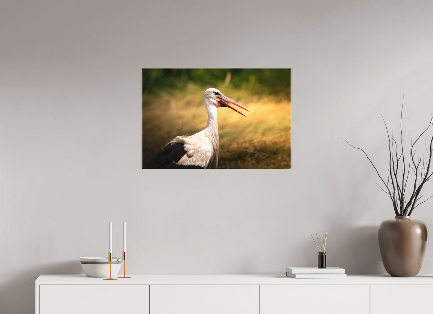 Cigogne blanche | une chaleur ardente
