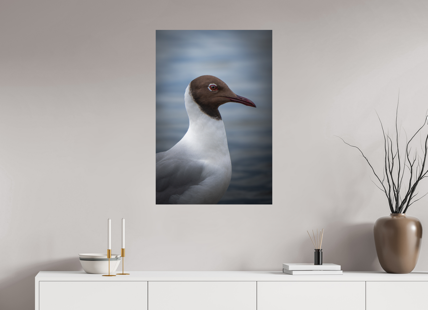 Mouette rieuse | le casque brun
