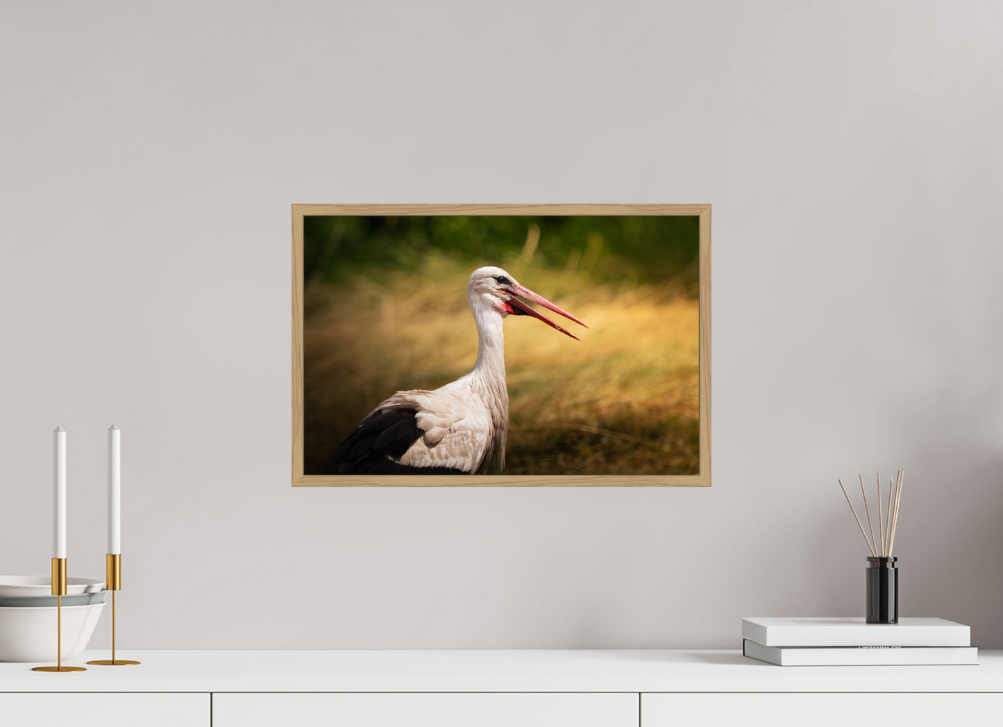 Cigogne blanche | une chaleur ardente