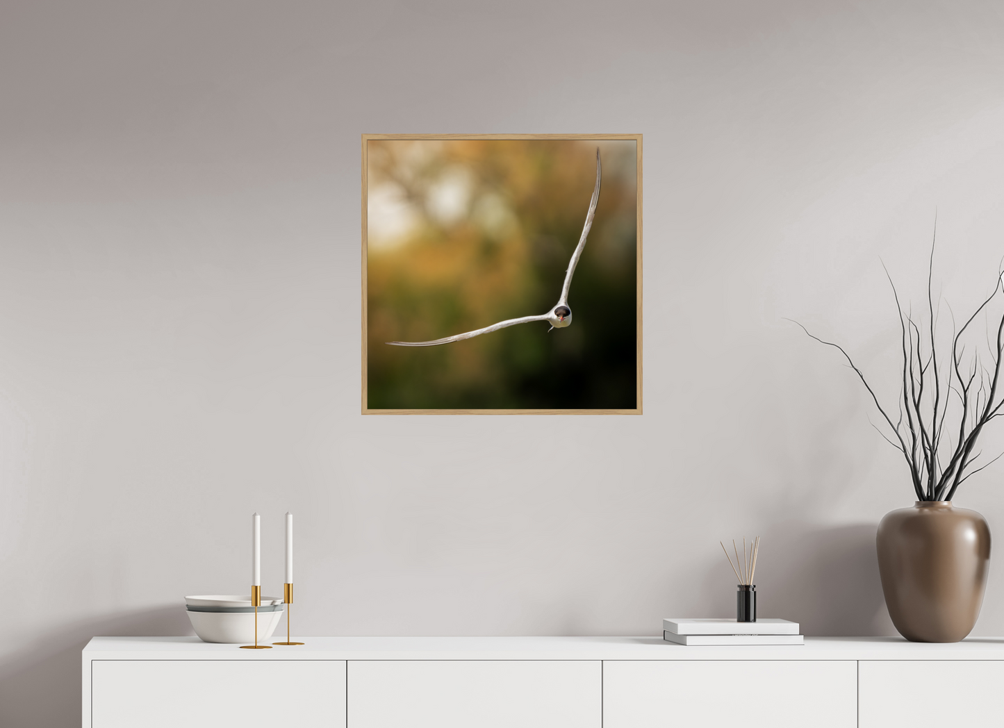Sterne Pierregarin | des ailes couteaux