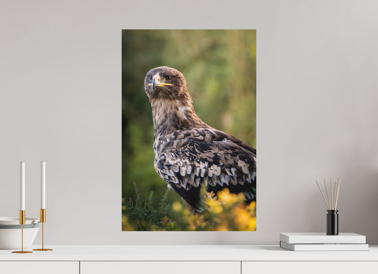 40 x 60 cm, Alu Dibond Roi des Steppes