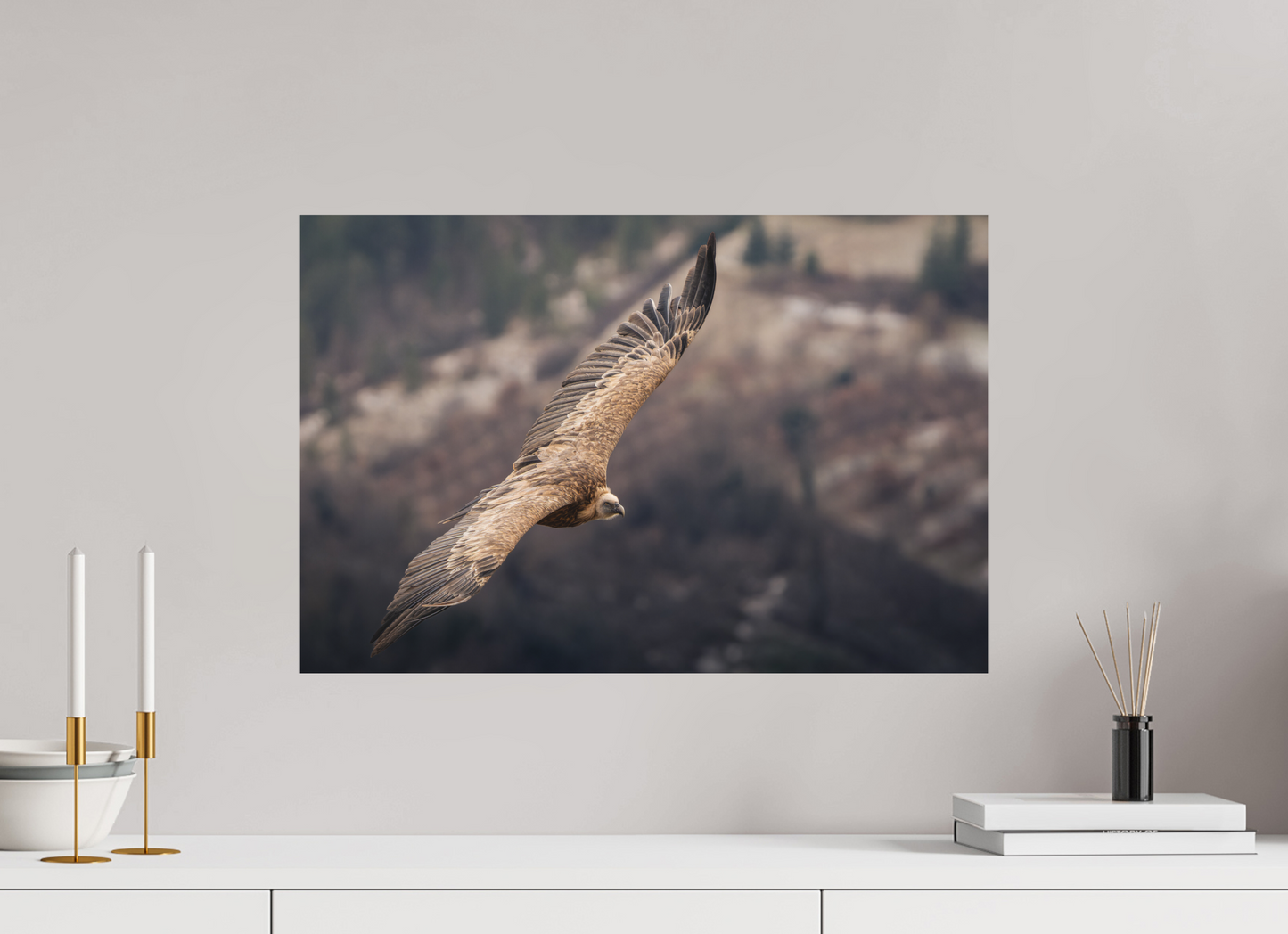 60 x 40 cm, Alu Dibond Gigantisme Royale