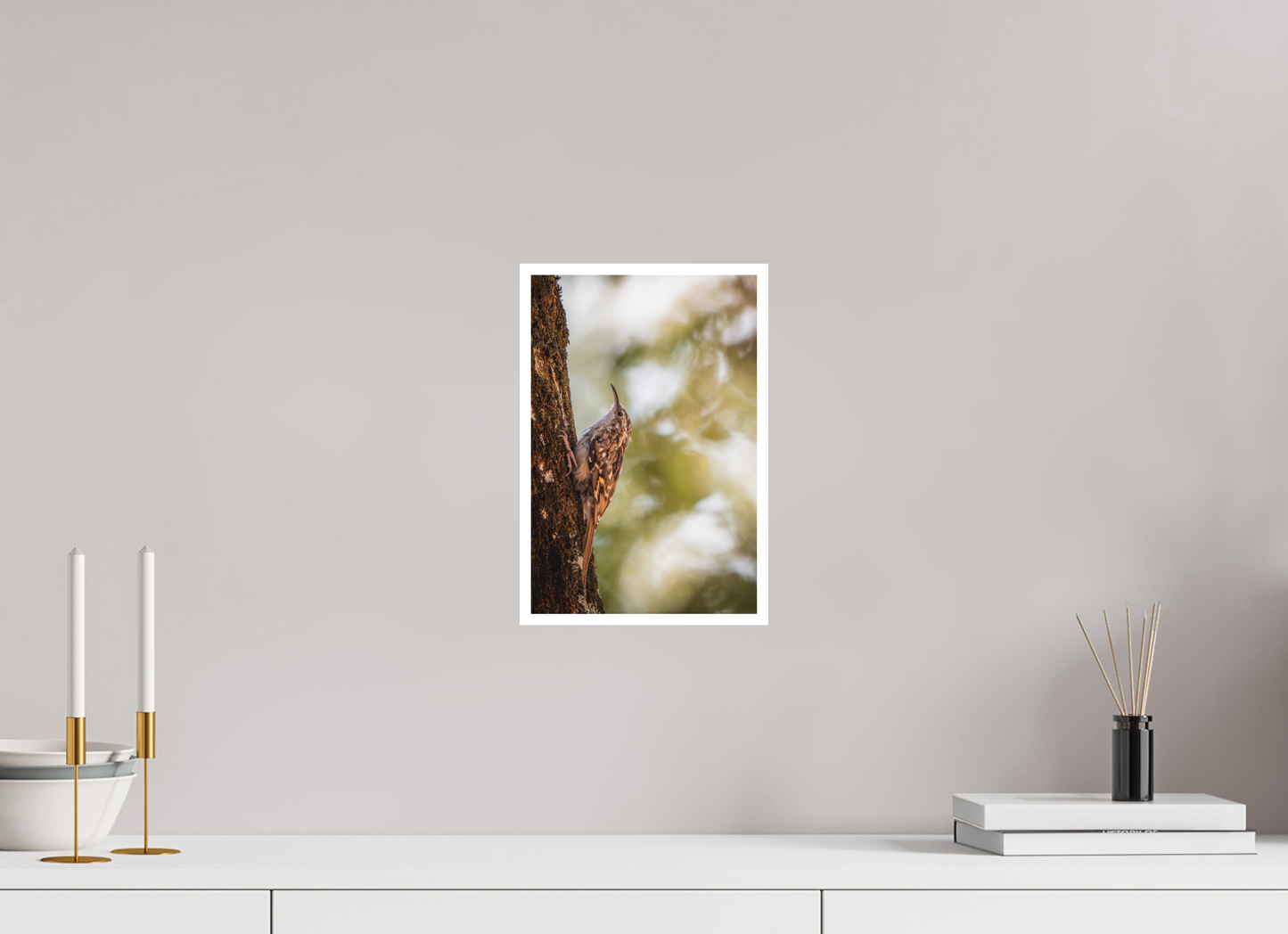 20 x 30 cm, Fine Art Ascension Sylvestre