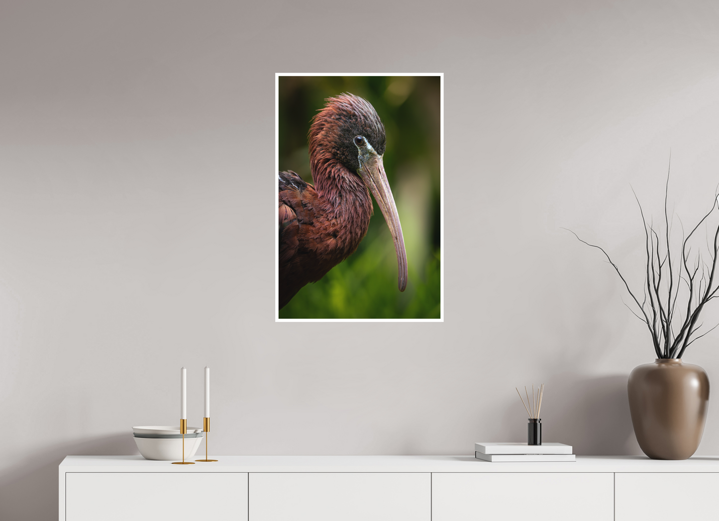 Ibis Falcinelle | un long bec courbé