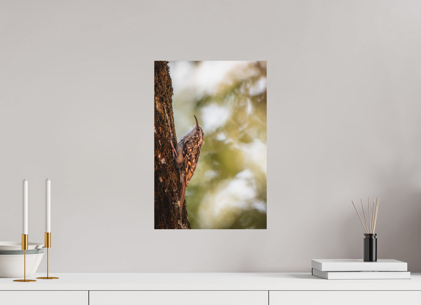 30 x 45 cm, Alu Dibond Ascension Sylvestre