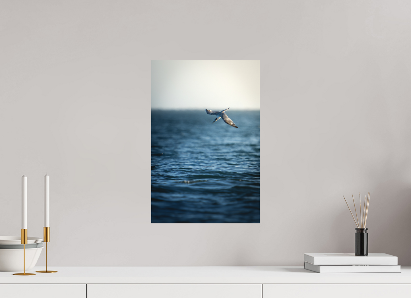 Sterne Caugek | plongeon fulgurant