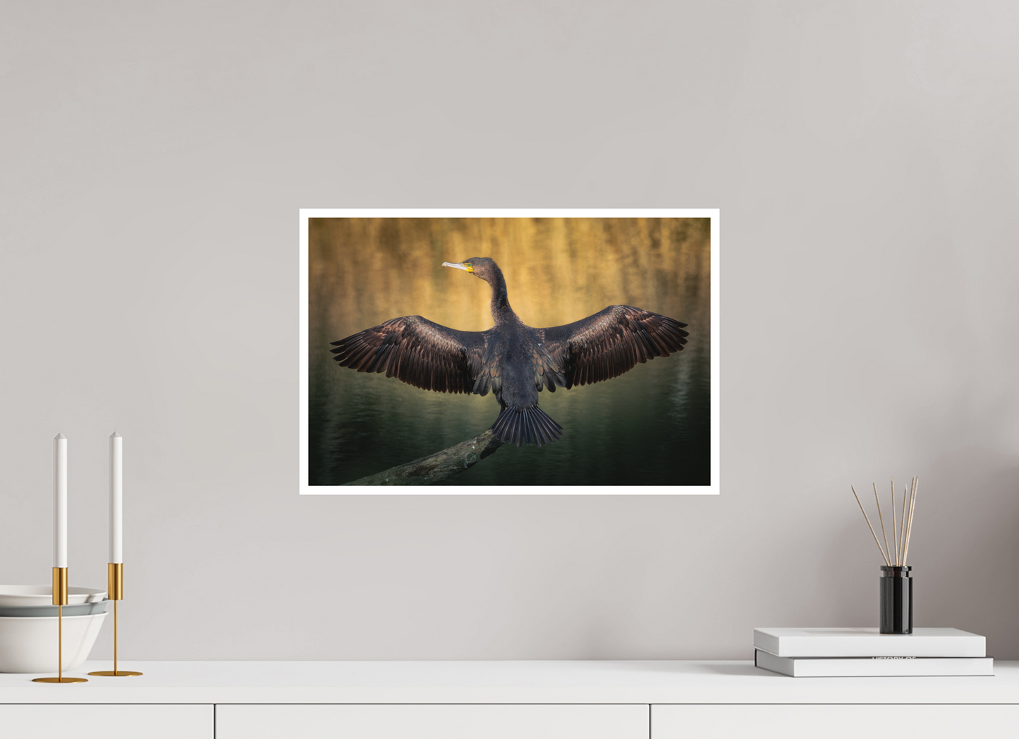 Grand Cormoran | les ailes oxydé